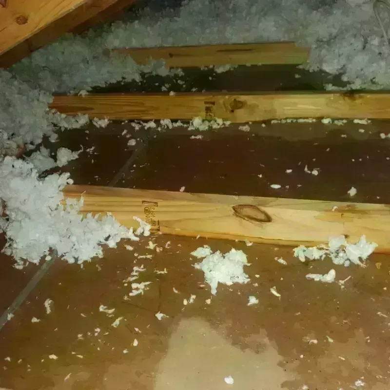 Attic Water Damage in Fyffe, AL